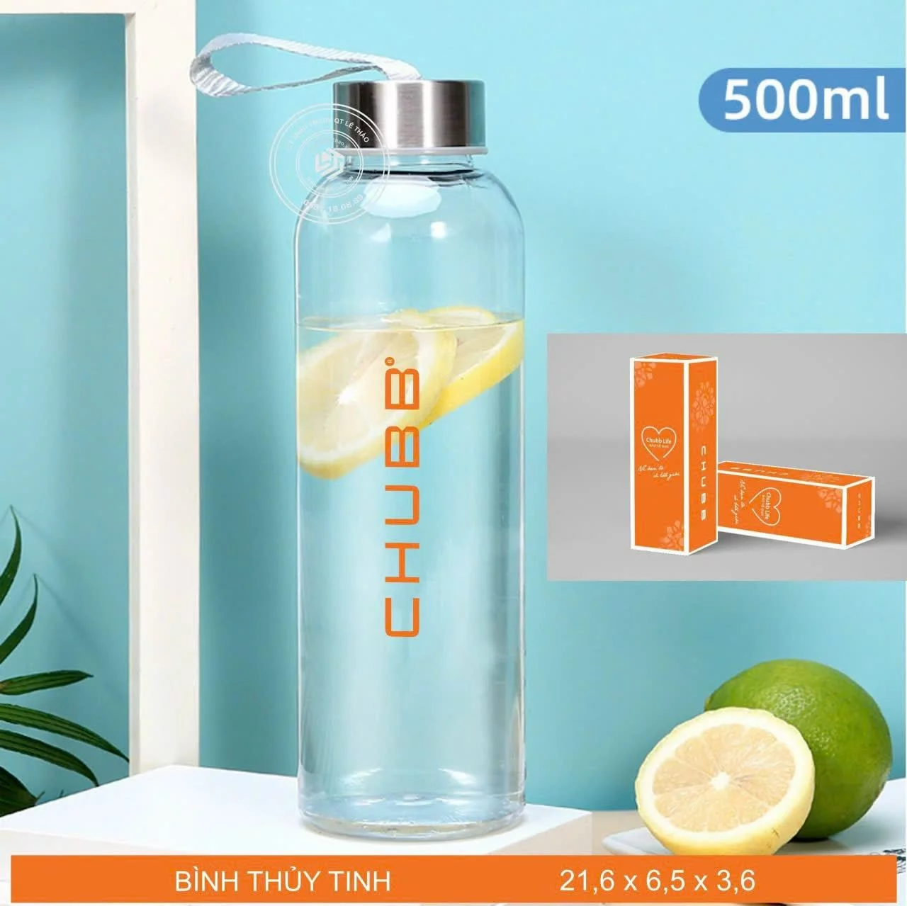 Bình thủy tinh cao cấp 500ml có dây xách Bình thủy tinh cao cấp 500ml có dây xách